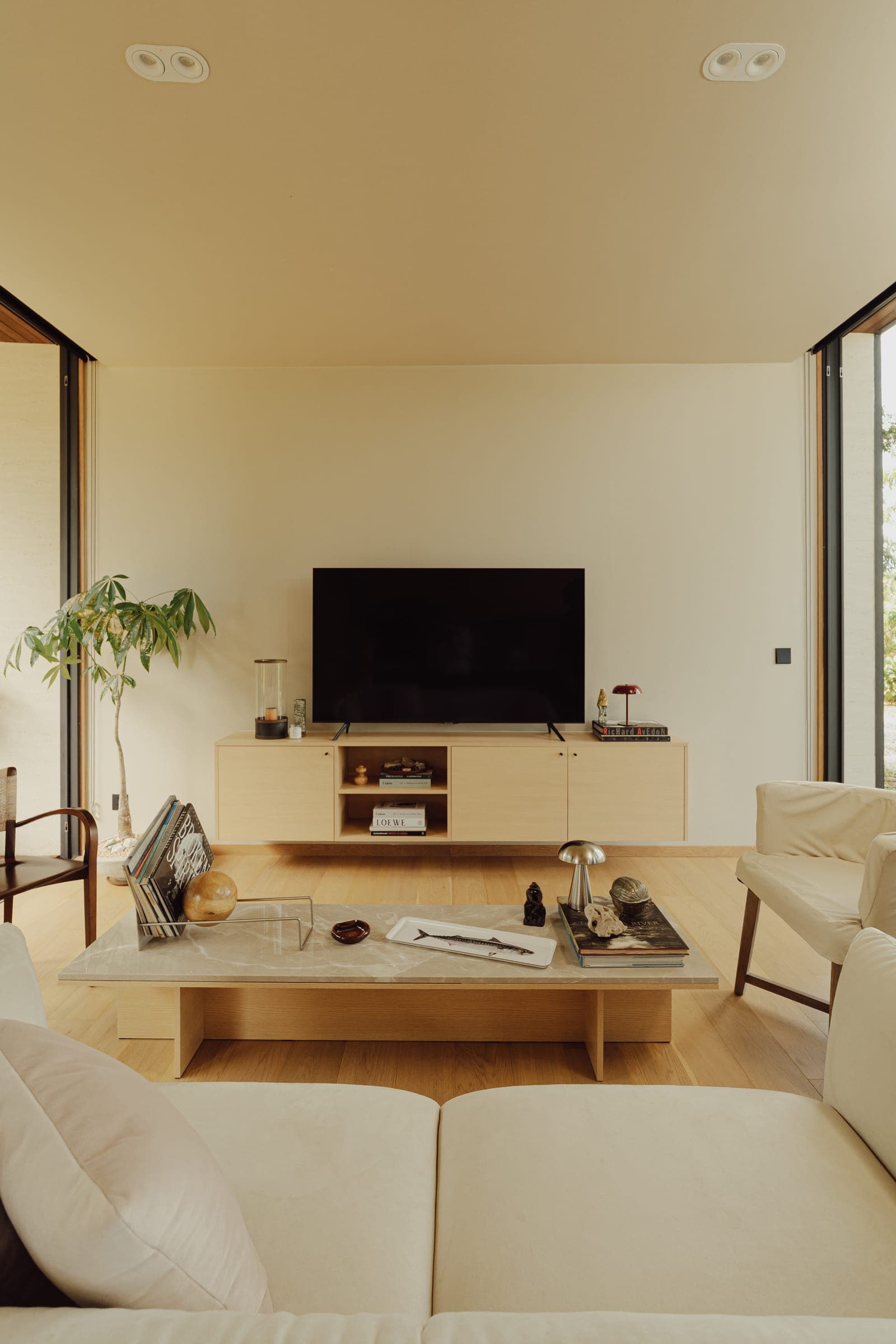 Living room — terrace view